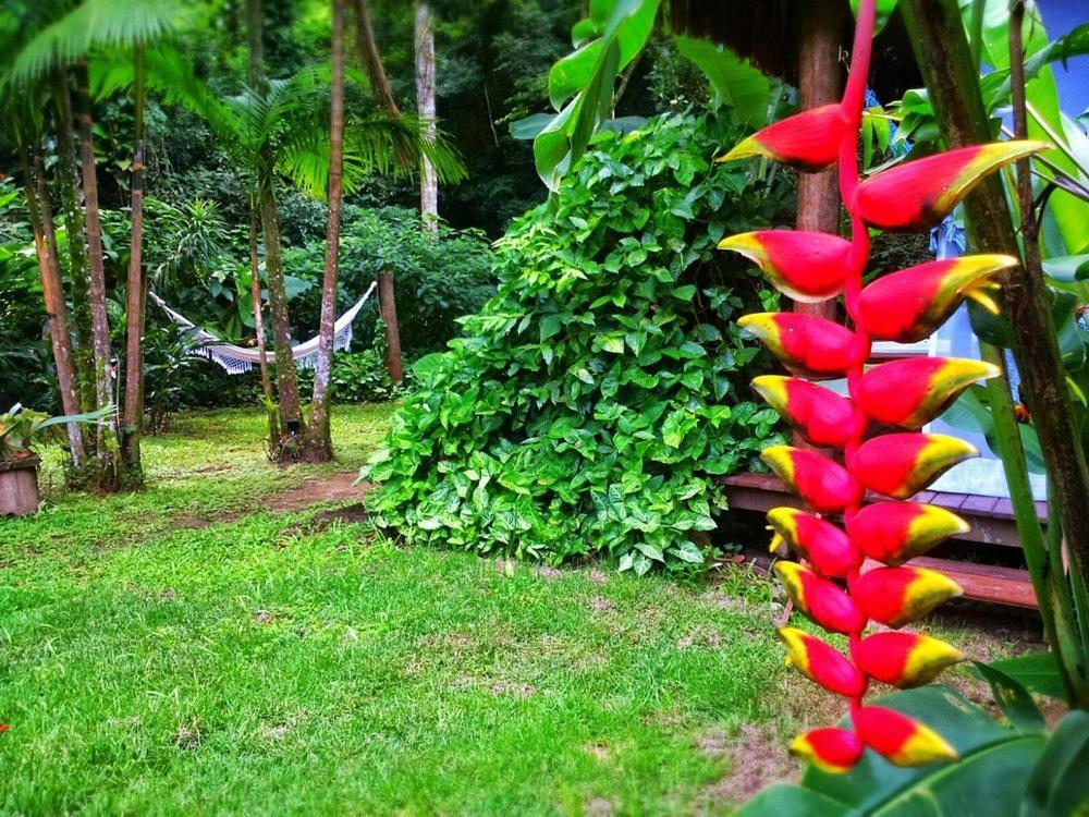 Sumatra Ecolodge Sao Sebastiao  Exteriér fotografie